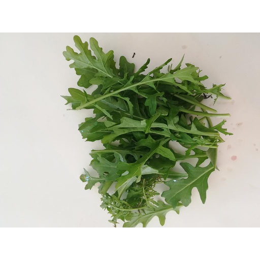 NIEDERHAUSER Rucola (100 g)