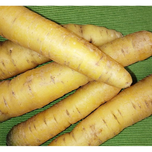 NIEDERHAUSER Karotten gelb (kg)