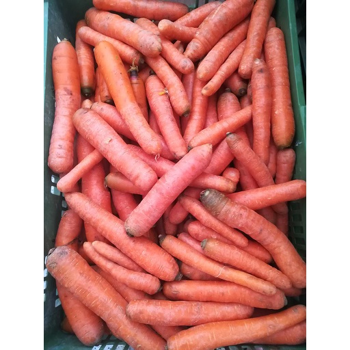NIEDERHAUSER Karotten (kg)